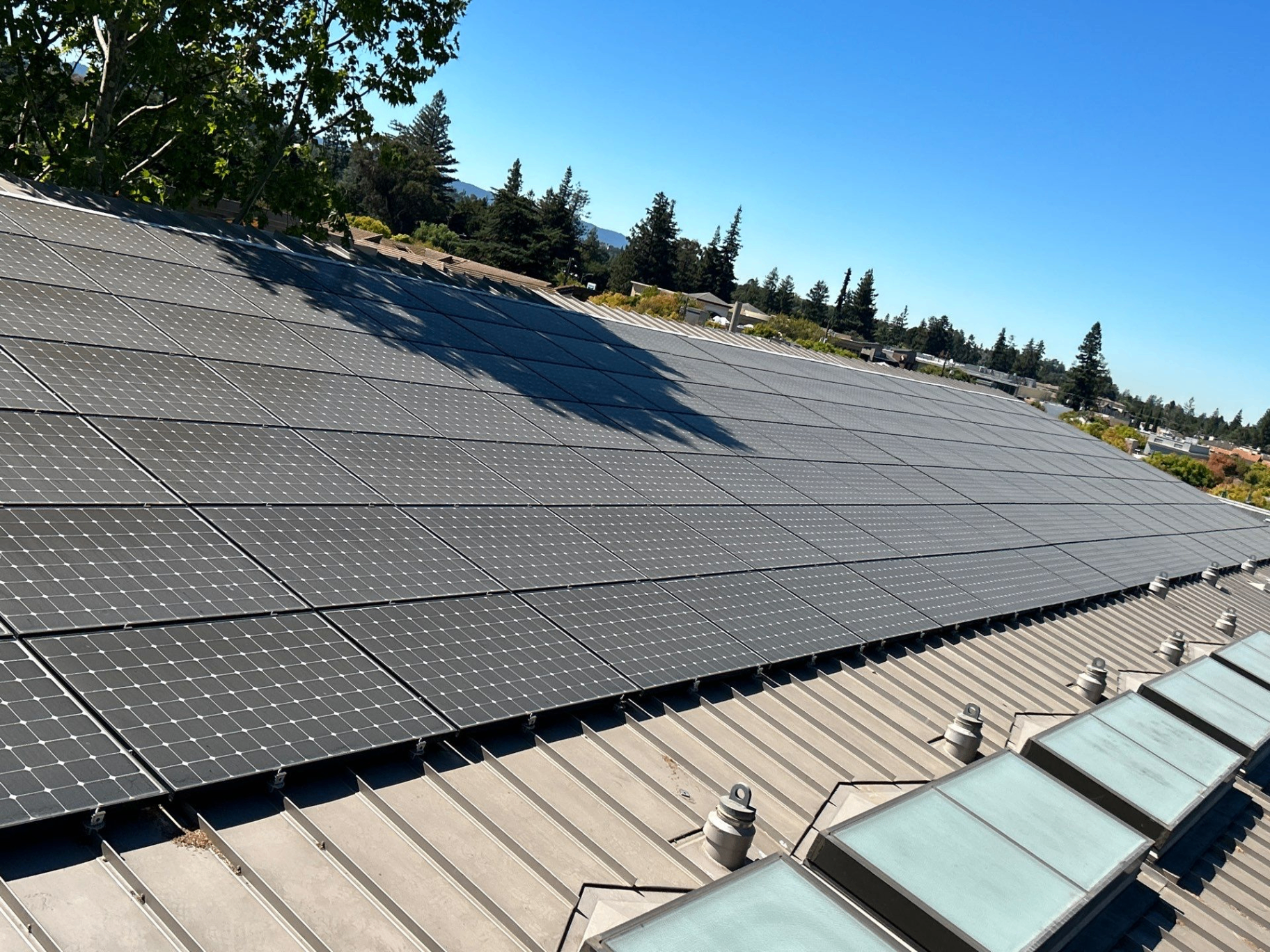 Dirty commercial solar array before cleaning